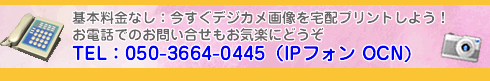 お電話でお気軽にお問い合せ下さい