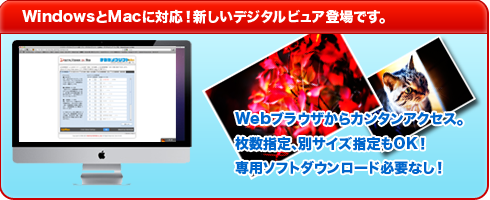 新しいデジタルビュア登場